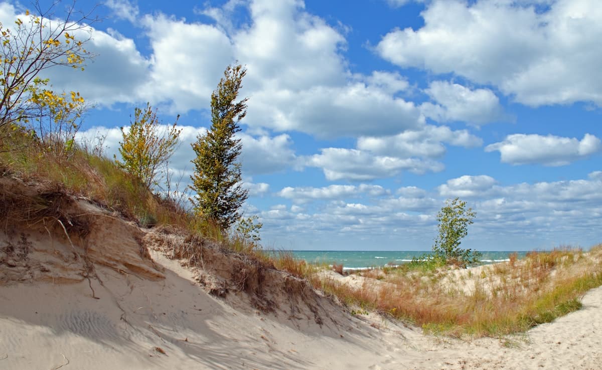 Sandy dunes with beach grass overlooking Lake Huron under a partly cloudy sky